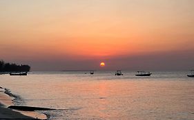 Afro Rooms Tents Beach & Whale Shark Safari